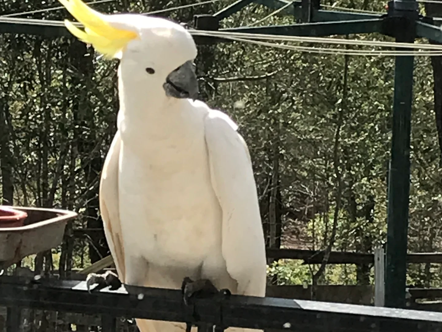 Additional image 25 of 33 Forest View Drive, Brooklands QLD 4615