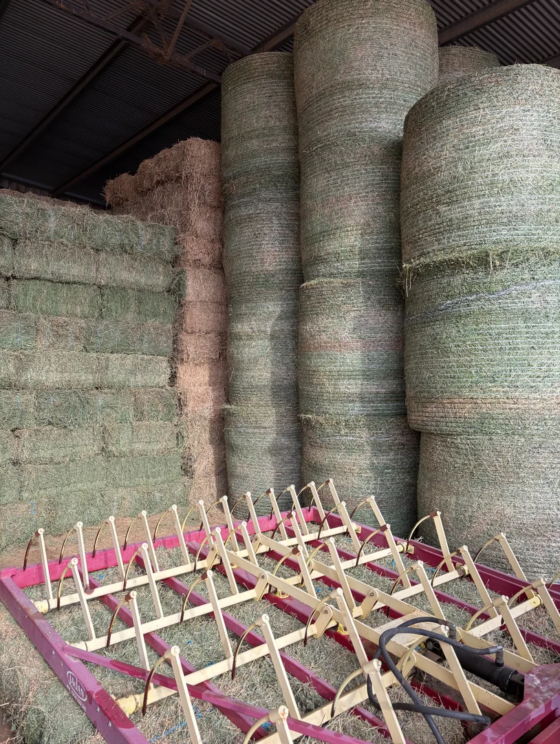 Additional image 7 of 2350 George Russell Drive, Canowindra NSW 2804