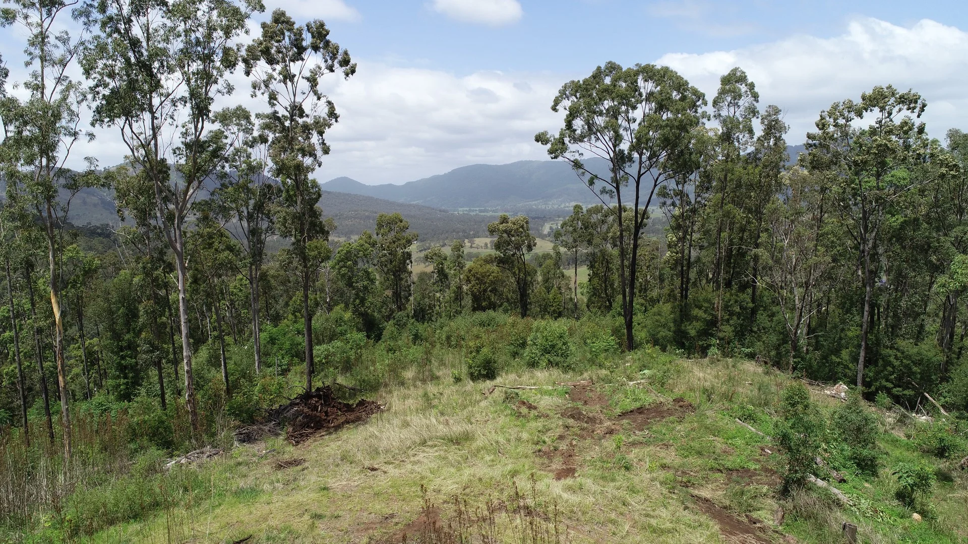173 Knodingbul Forest Road, Mount George NSW 2424