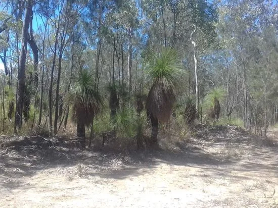 Additional image 21 of Lot 123 Two Chain Road, Koah QLD 4881