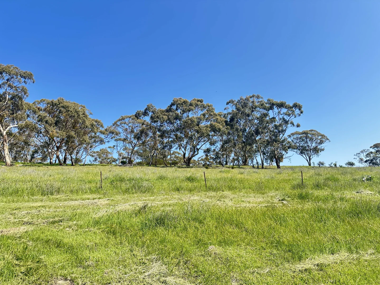 Additional image 31 of 7791 Horrocks Hwy, Penwortham SA 5453