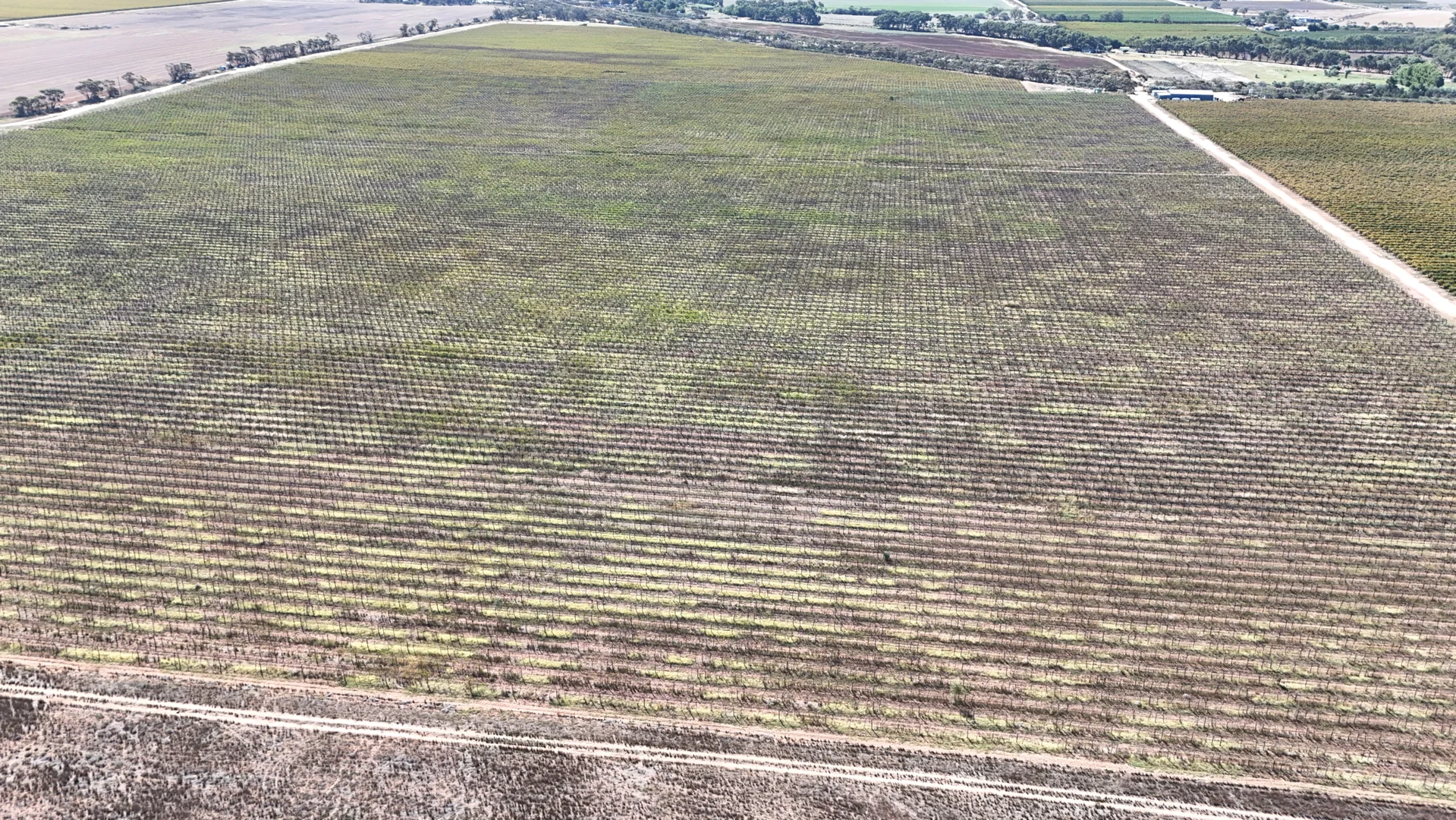 Additional image 25 of 595 Woorinen Road, Swan Hill VIC 3585