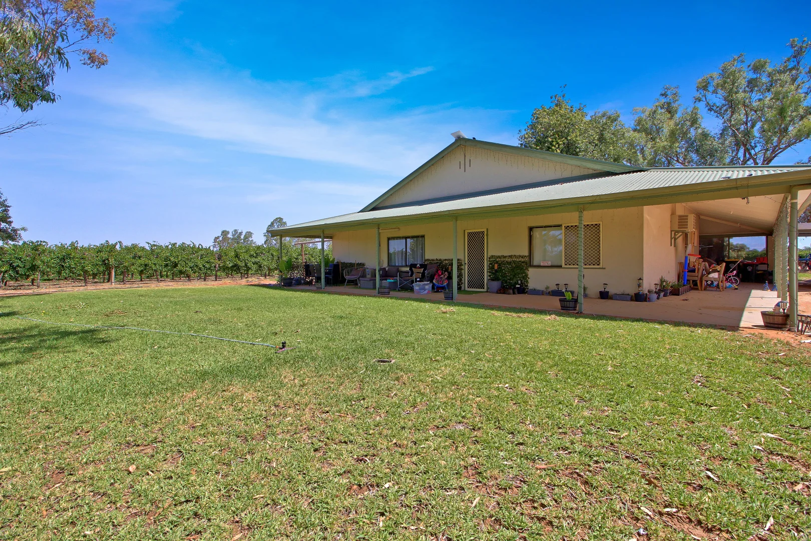 Additional image 6 of 32 Plushsbend Road, Renmark SA 5341