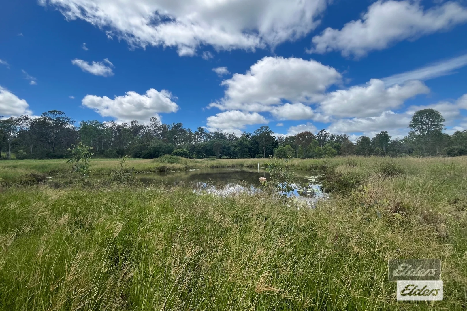 Additional image 5 of 288 Blowers Road, Munna Creek QLD 4570