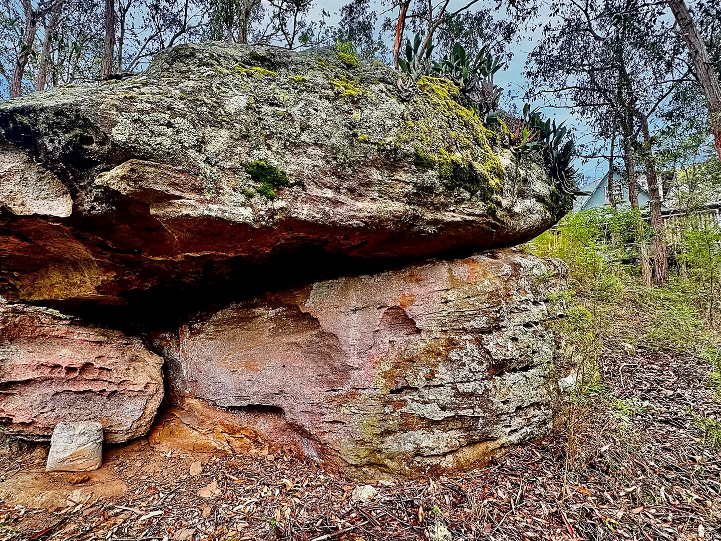Additional image 6 of 780 Milsons Arm Road, Wollombi NSW 2325
