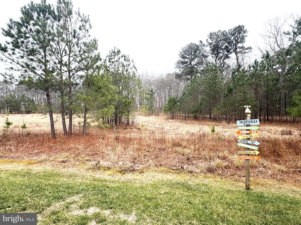 Additional image 62 of 38734 Soft Beach Circle, Selbyville, DE 19975