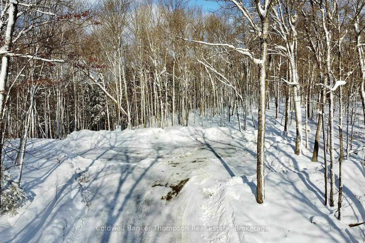 Additional image 20 of 265 Sharon Drive