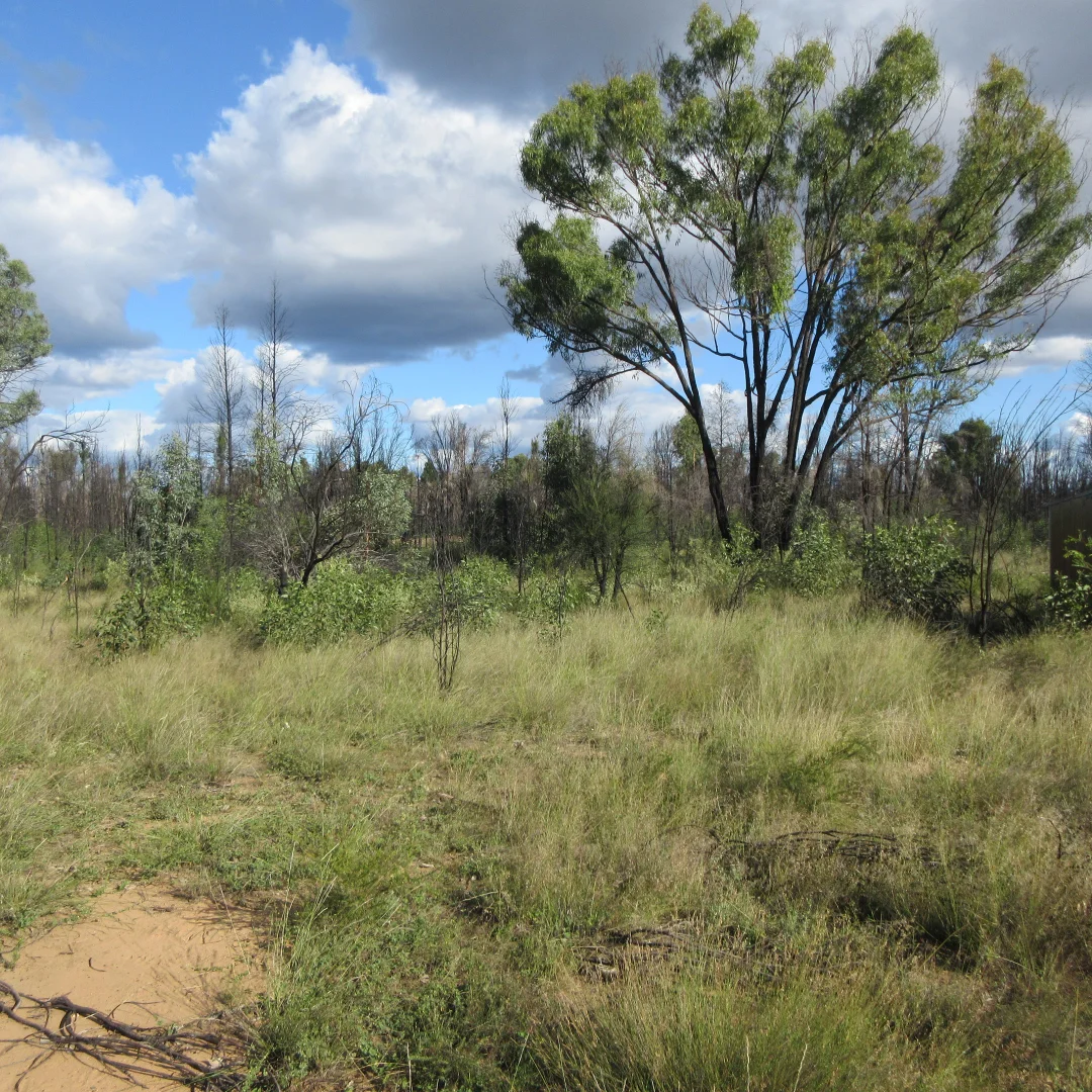 Additional image 4 of 10 Tara Chinchilla Road, Tara QLD 4421