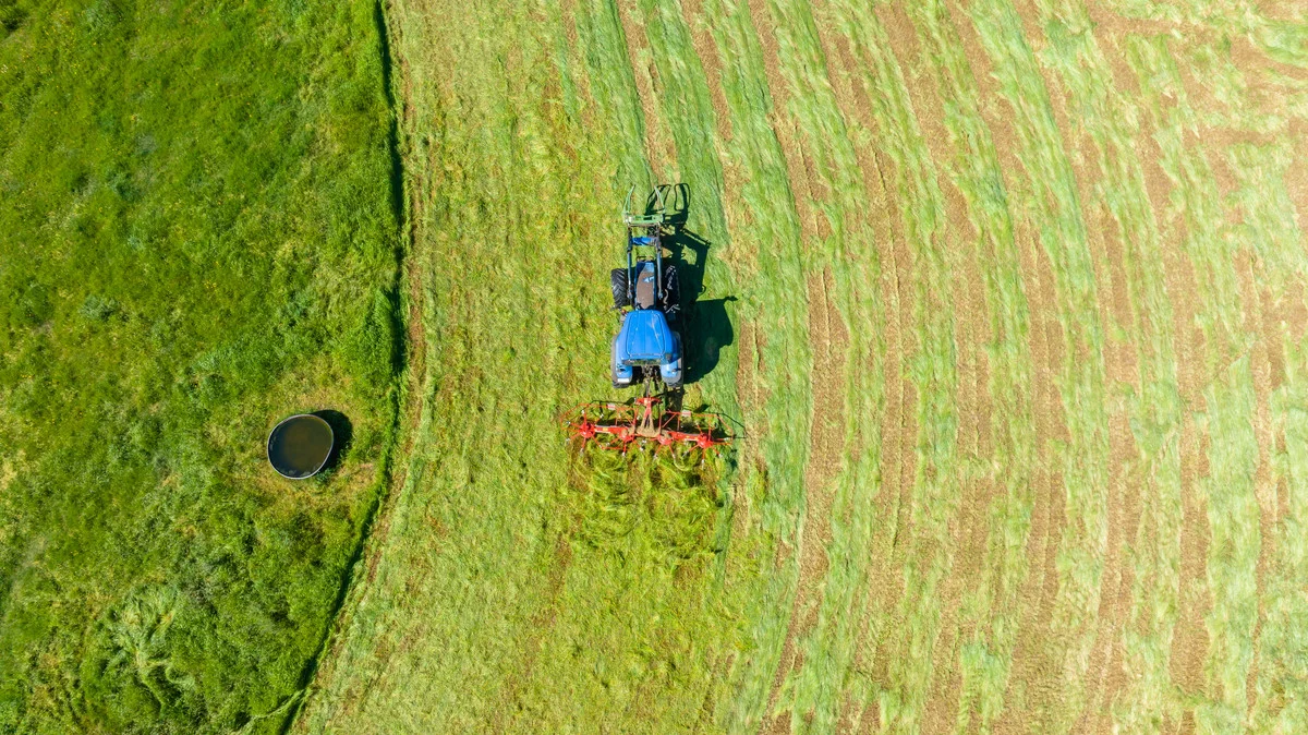 Additional image 10 of 3082 Omeo Highway, Tallandoon VIC 3701