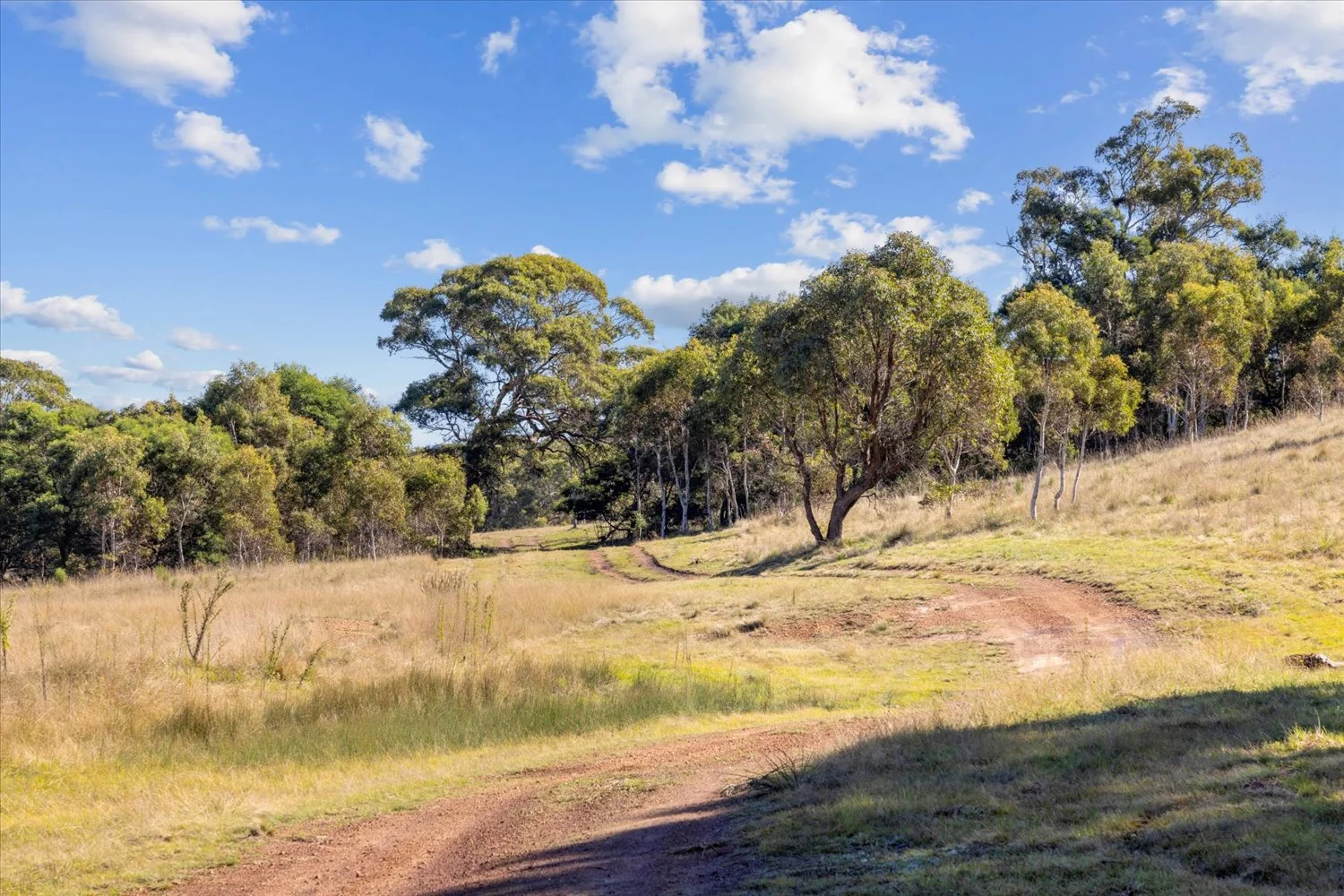 Additional image 21 of 134 Lakeview Road, Tarago NSW 2580