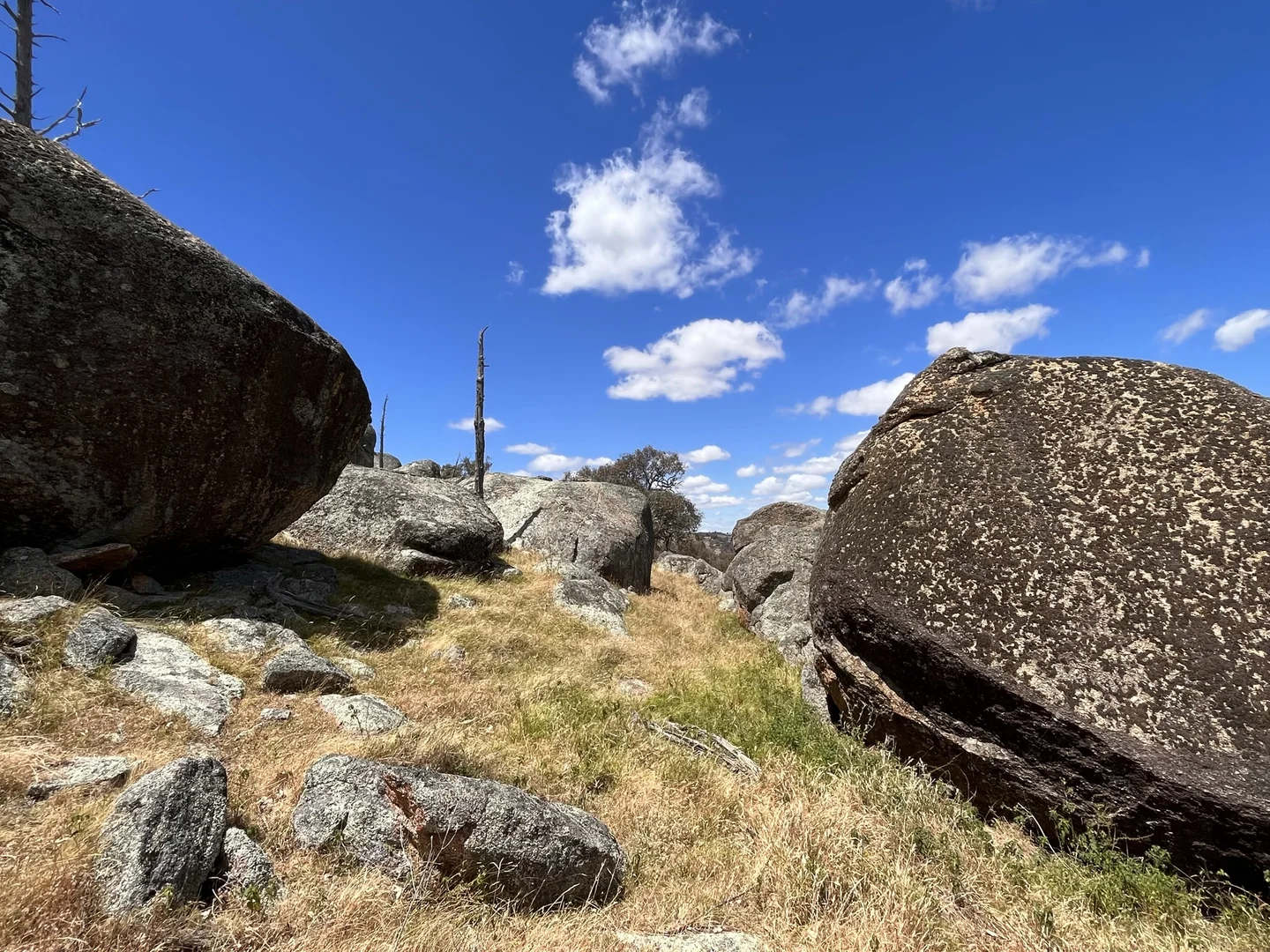 Additional image 17 of Lot 3 Tarrants Gap Road, Wyangala NSW 2808