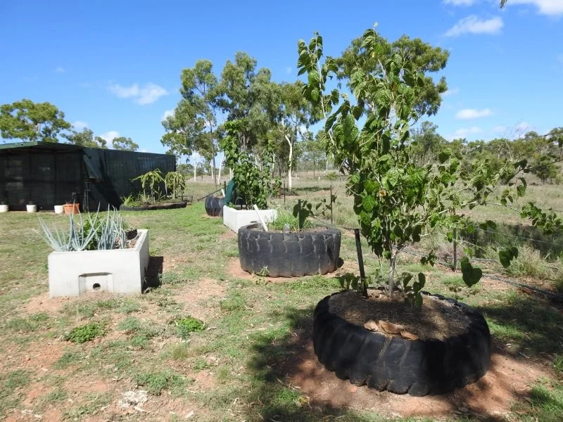 Additional image 20 of 27 Beechcraft Court, Breddan QLD 4820