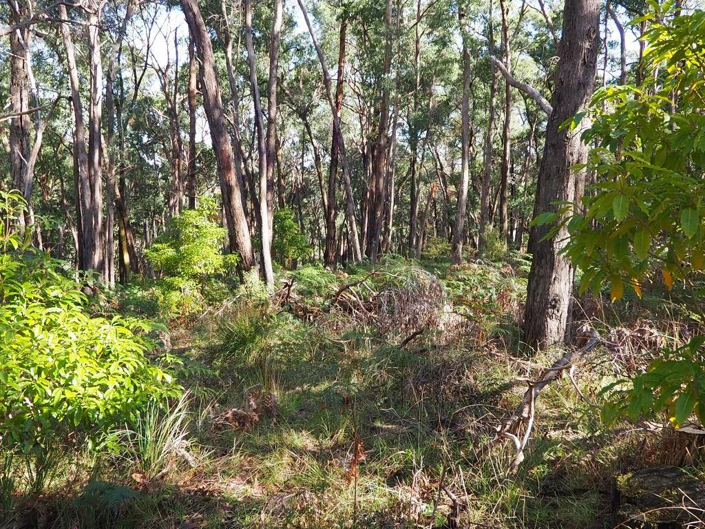 Additional image 3 of Lot 3 Brewsters Road, Yinnar South VIC 3869