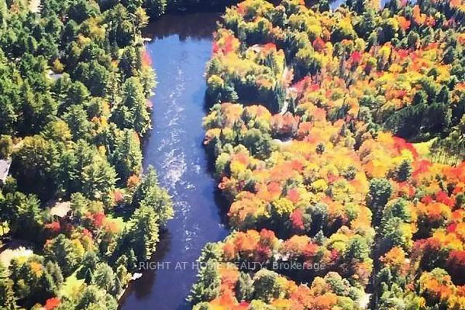 Additional image 8 of 1019 Forrester Trail