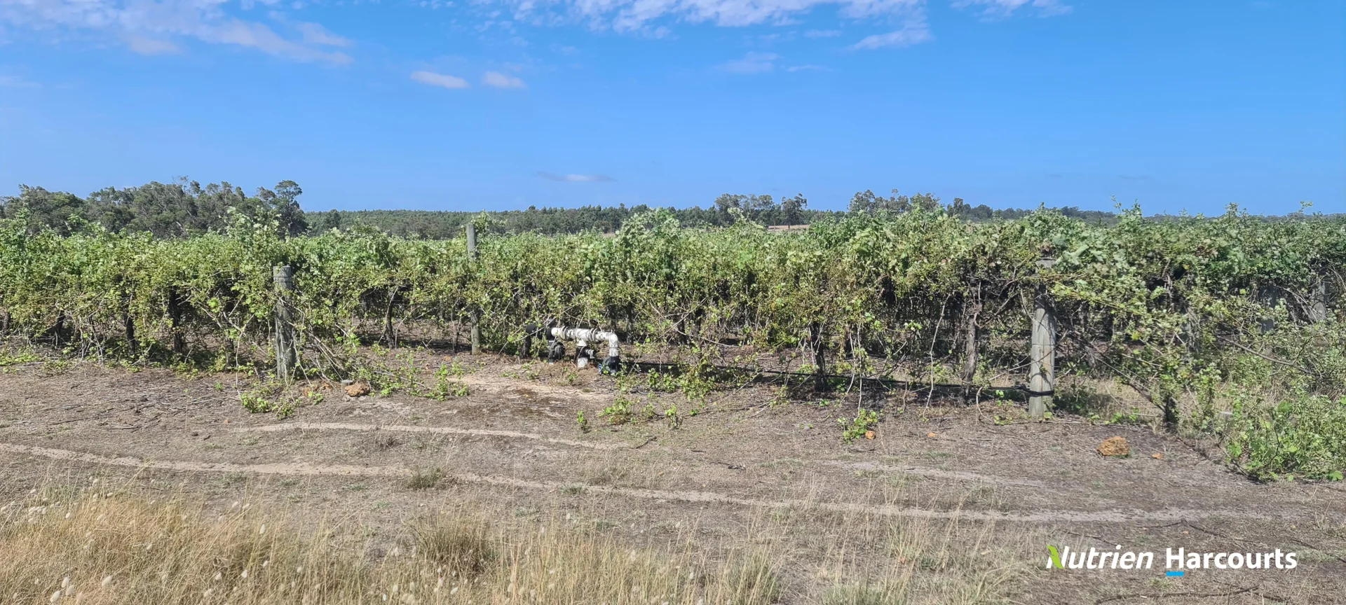 Additional image 7 of 267 Spencer Road, Narrikup WA 6326