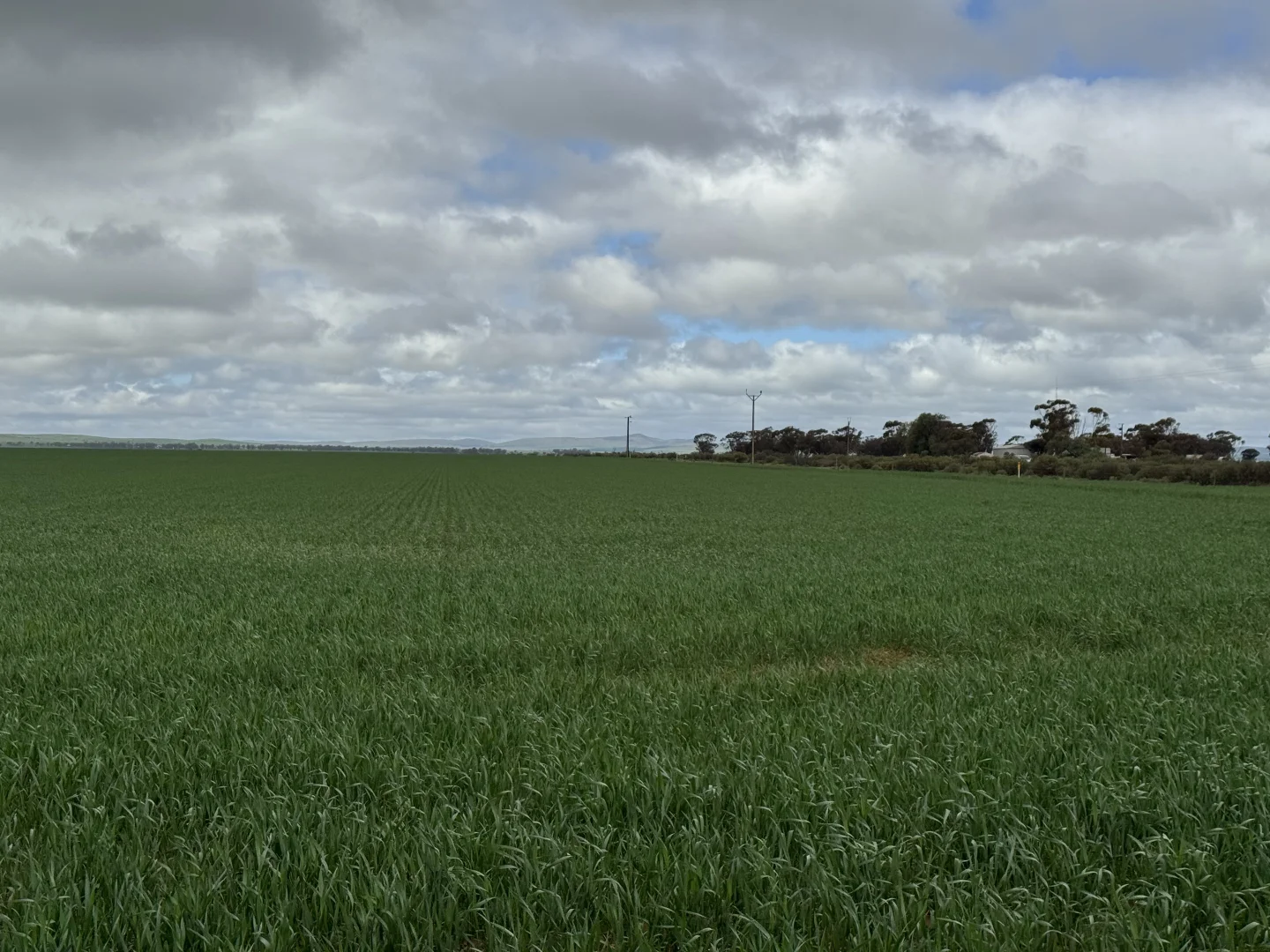 Additional image 15 of 434 Schmidt Road, Willowie SA 5431