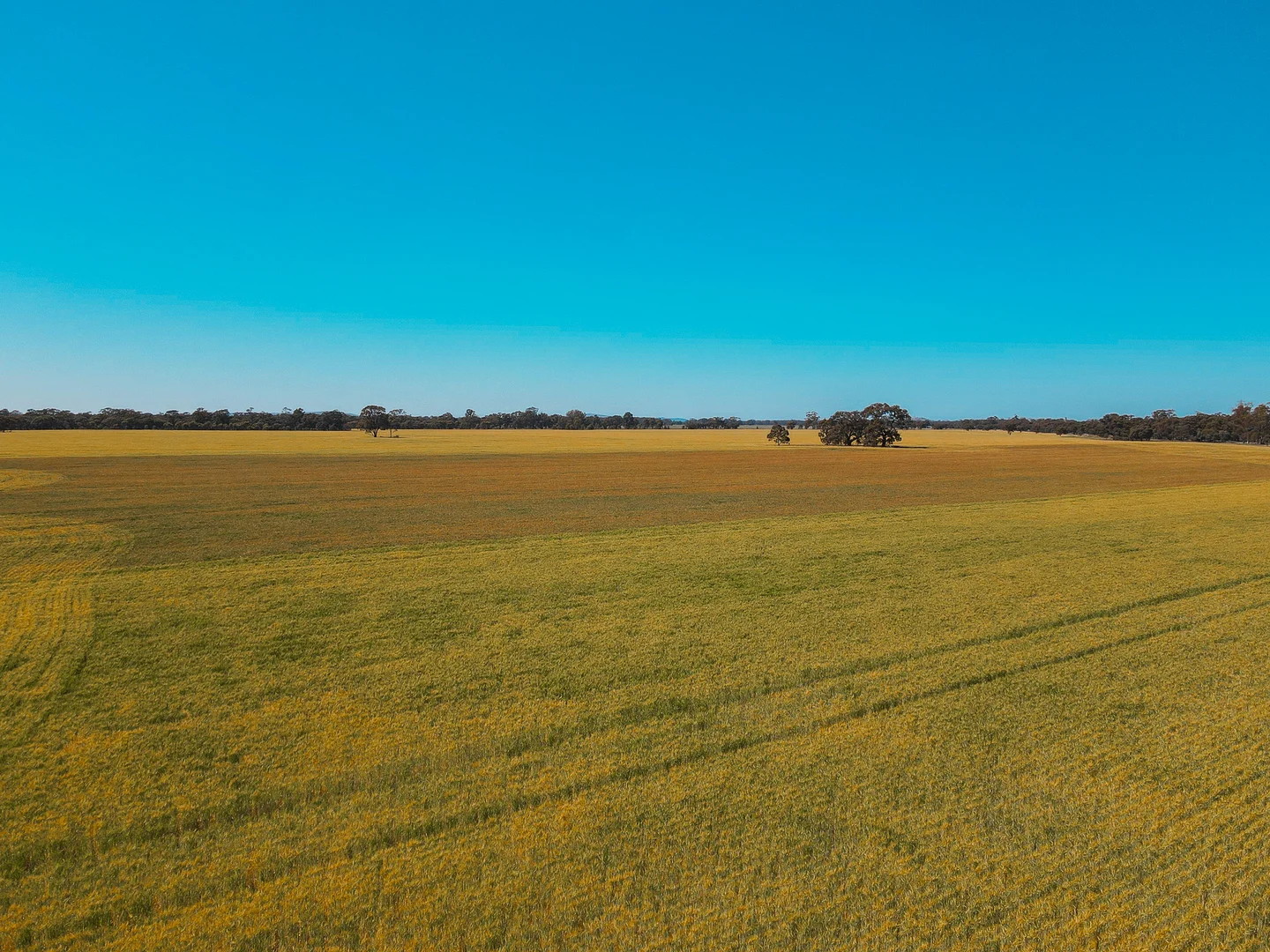 Additional image 19 of Teddywaddy VIC 3527