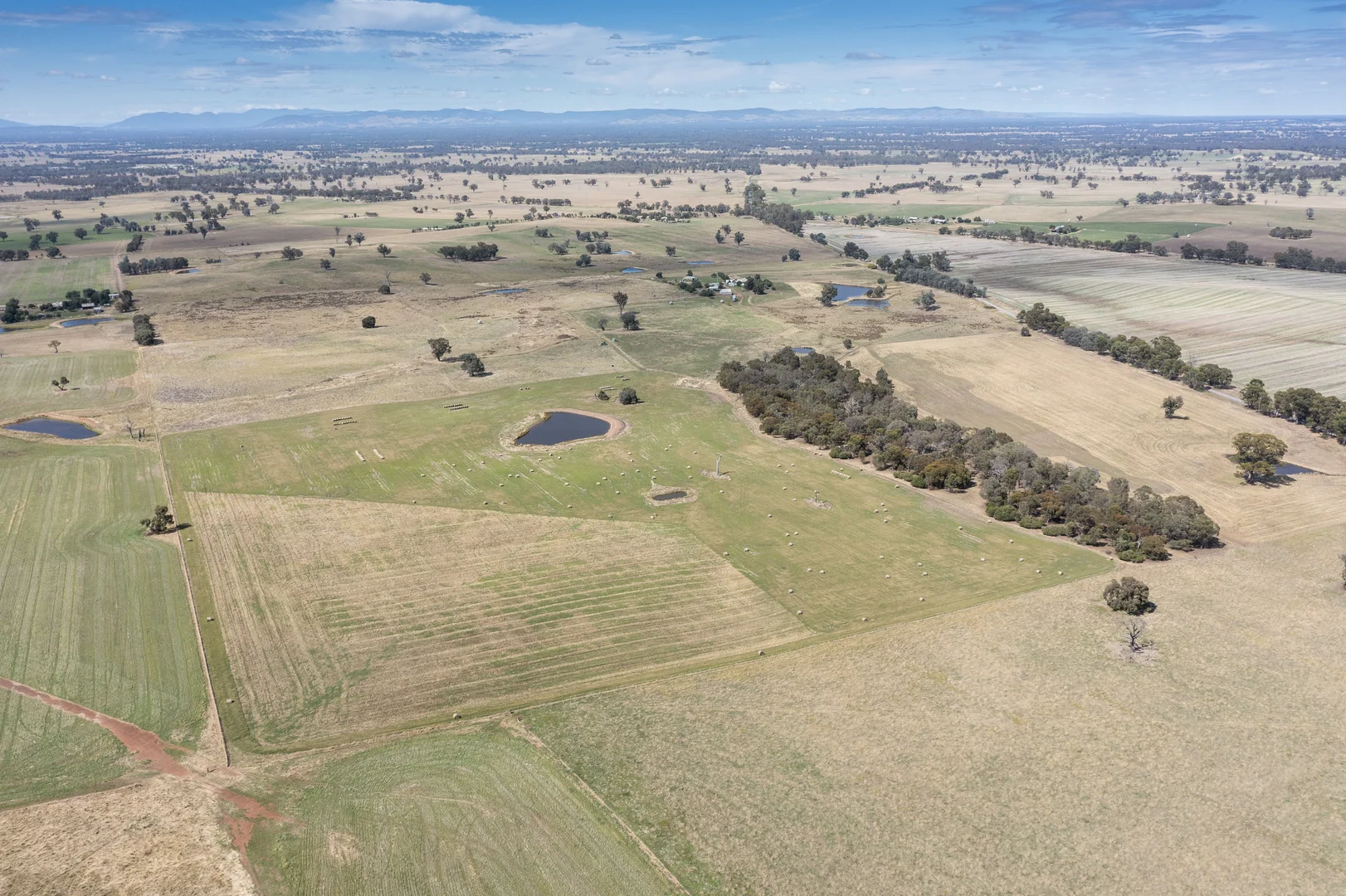 Additional image 10 of 646 Old Thoona Road, Goorambat VIC 3725