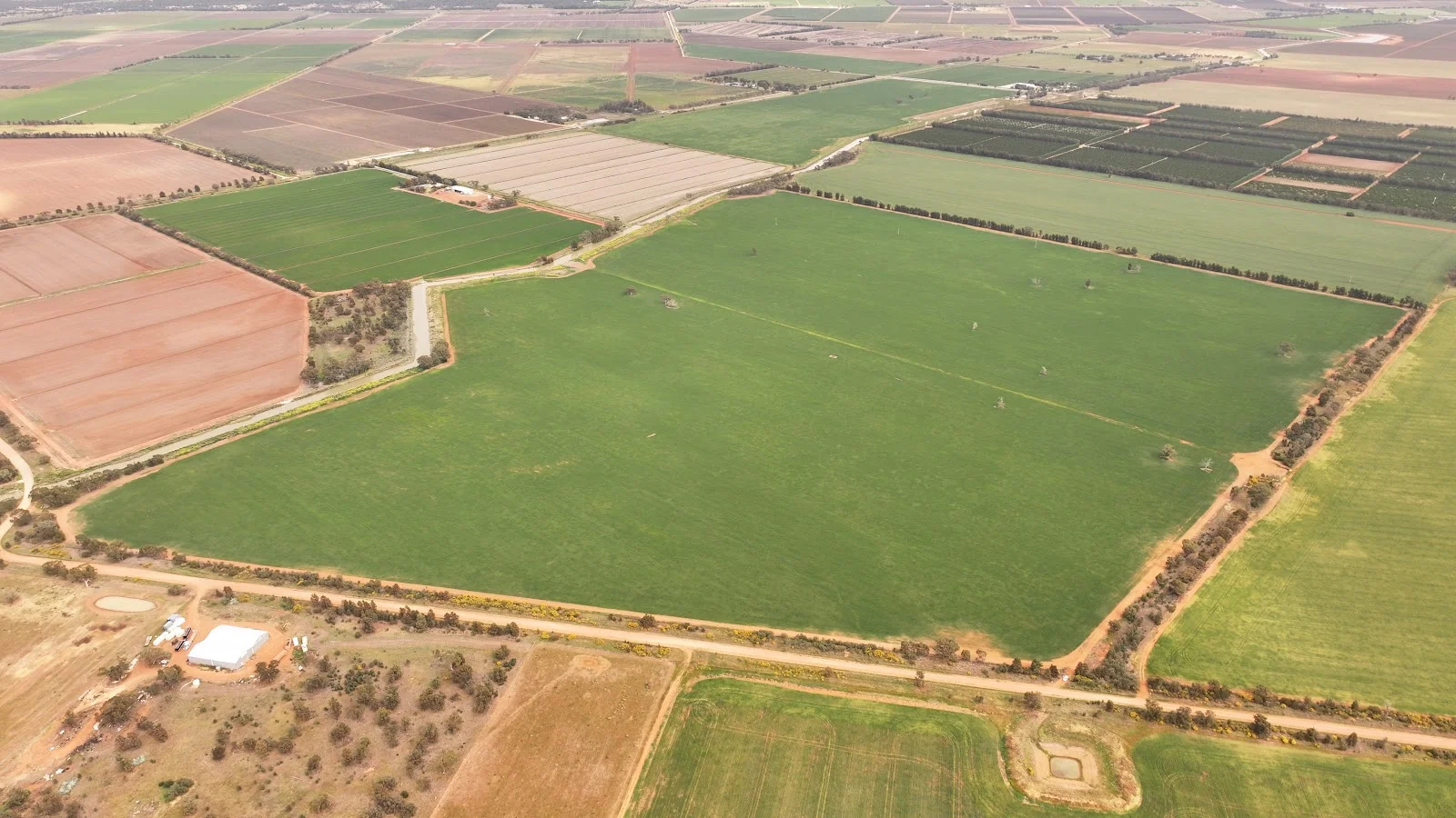 Additional image 4 of Myall Park NSW 2681