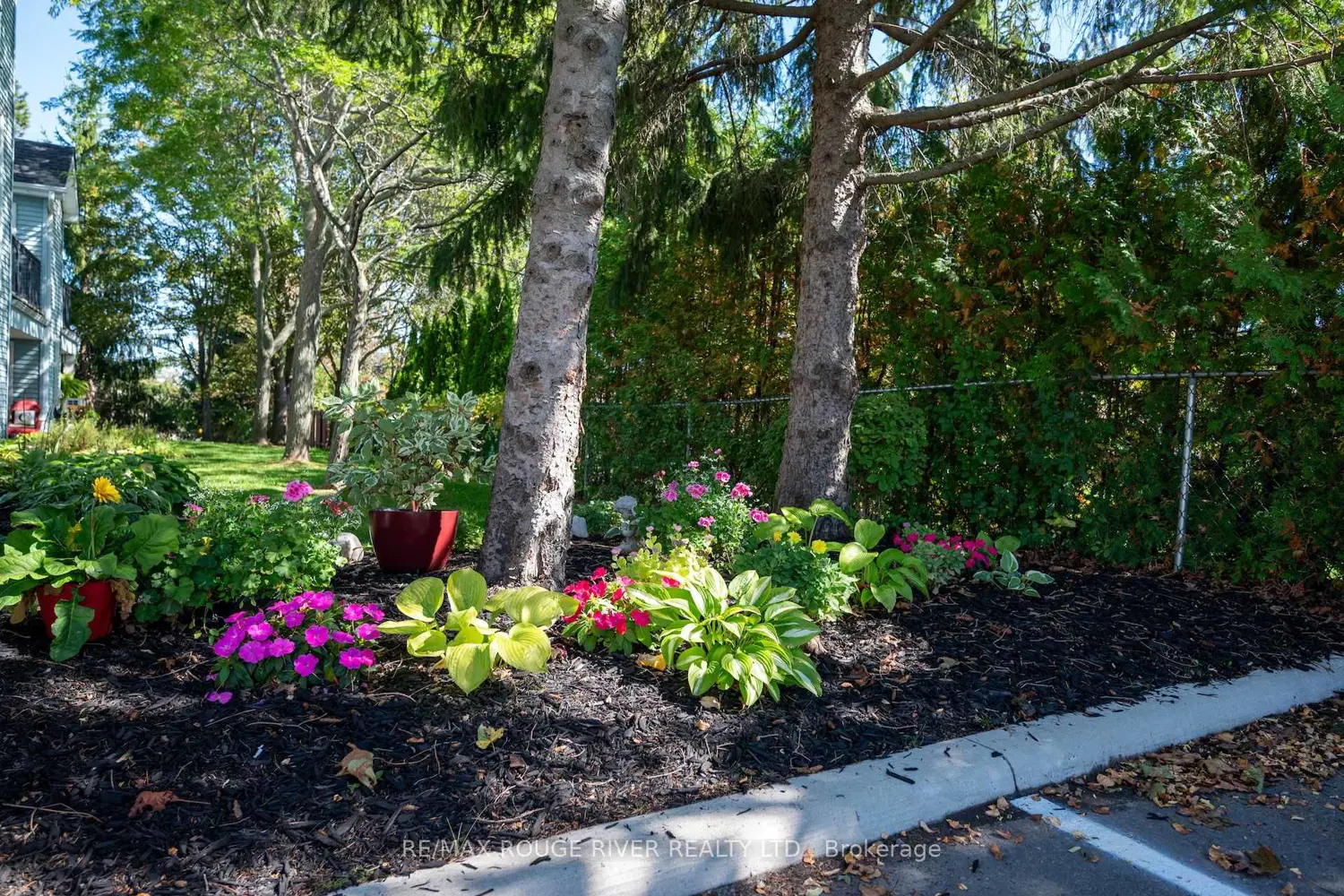 Additional image 19 of 182 D'arcy Street C-103