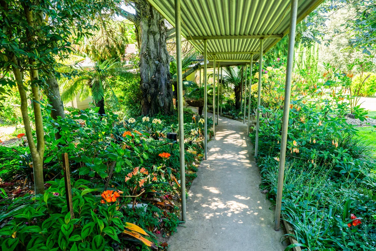 Additional image 20 of 3082 Omeo Highway, Tallandoon VIC 3701