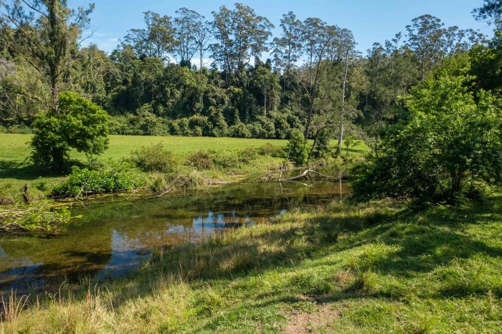 Additional image 31 of 1562-1620 NORTH ARM ROAD, Argents Hill NSW 2449