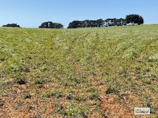 Additional image 38 of Dawkins Road, Lileah TAS 7330