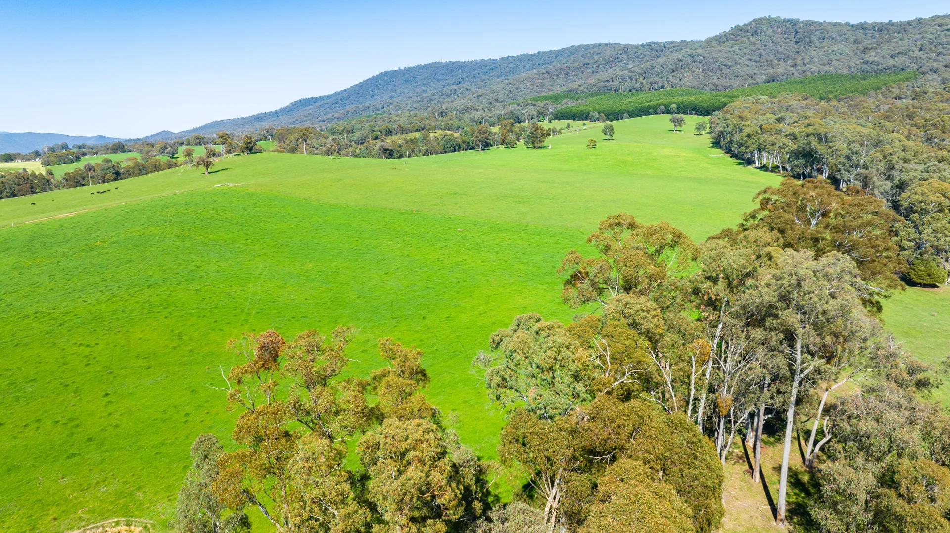 Additional image 12 of 130 Martin Lane, Yackandandah VIC 3749