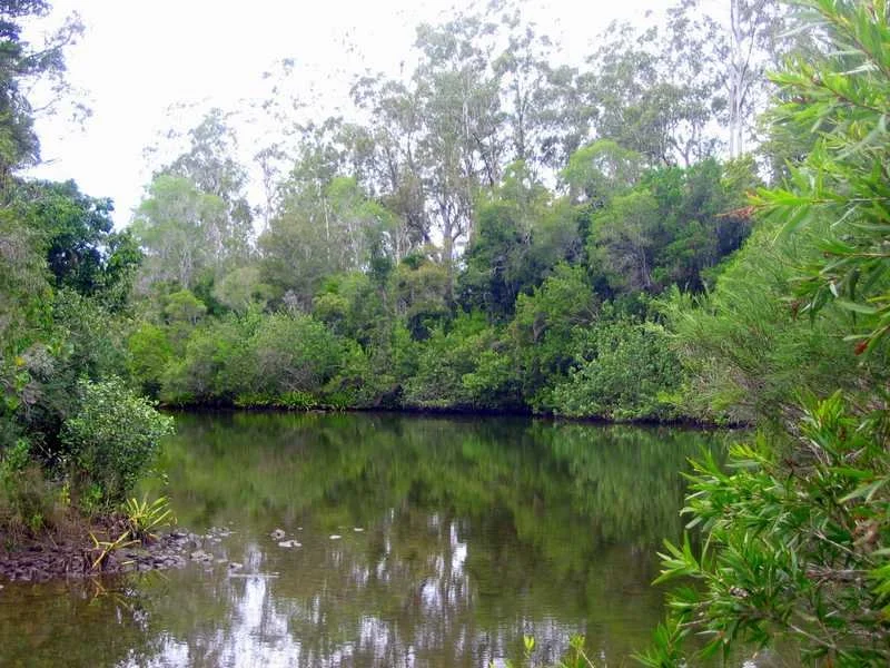 Additional image 15 of Captain Creek QLD 4677