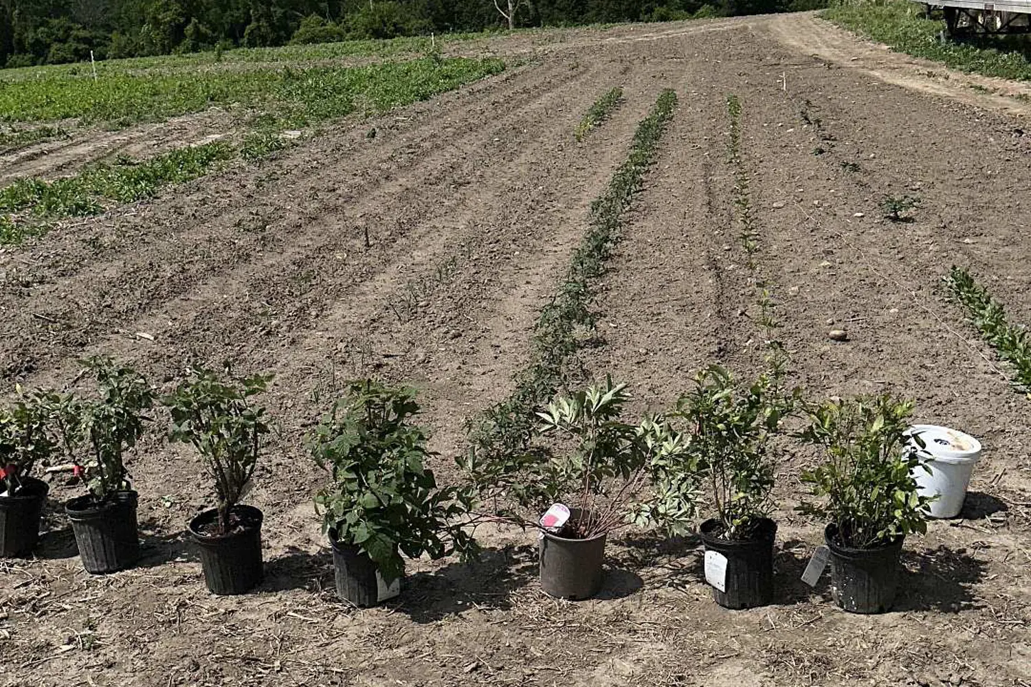 Additional image 2 of 2851 Church Street