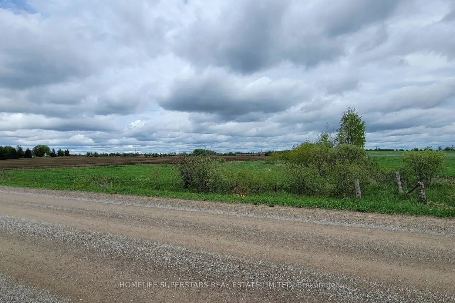 214131 10Th Line photo 3