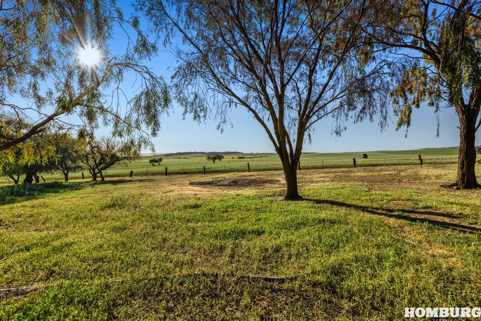 Additional image 23 of 275 Peltz Road, Bethel SA 5373