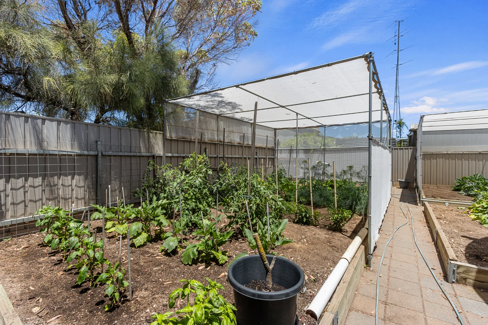 Additional image 25 of 1 Capella Court, Port Rickaby SA 5575