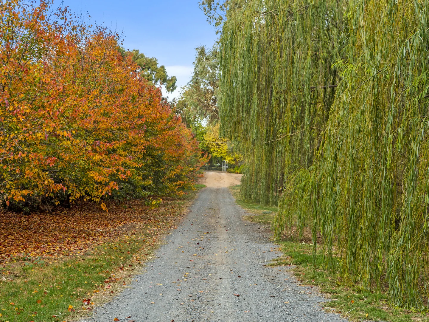 Additional image 34 of 271 Moors Road, Nathalia VIC 3638