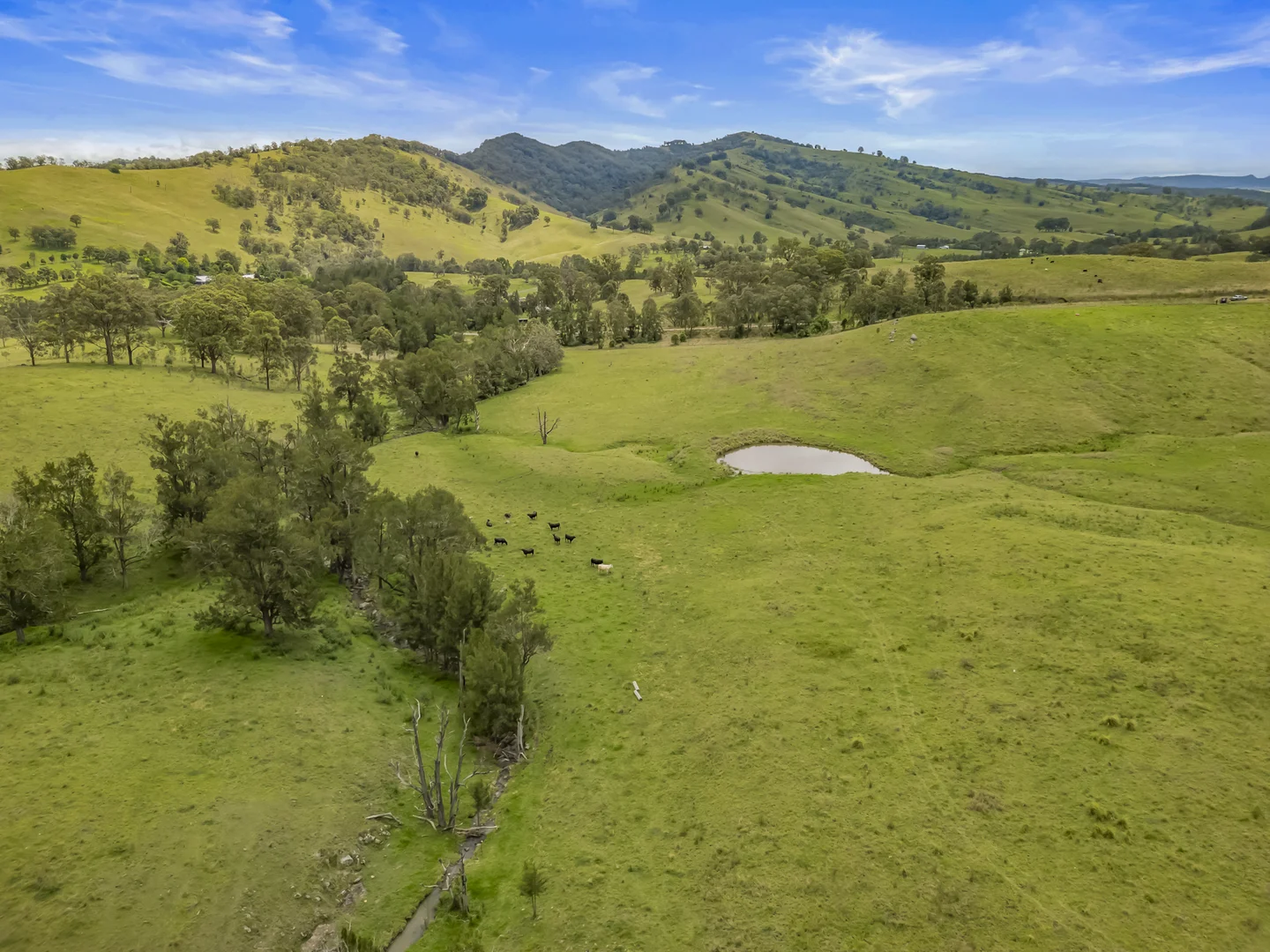 Additional image 8 of Carrowbrook Road Mount Olive, Singleton NSW 2330