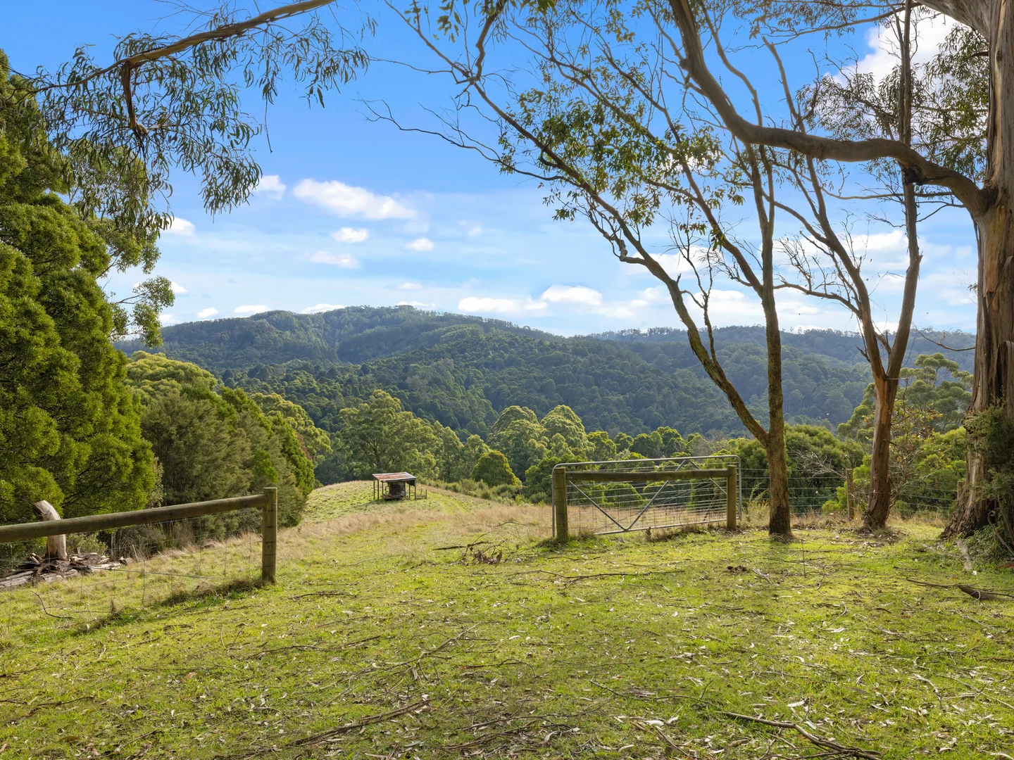 Additional image 18 of 205 Mt Best Tin Mine Road, Toora North VIC 3962