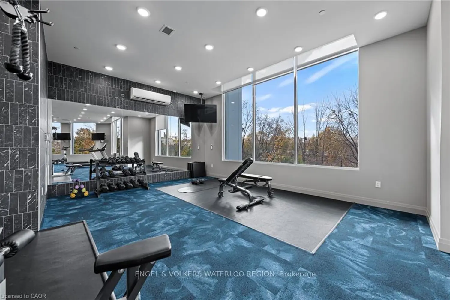 Additional image 17 of 71 Wyndham Street 601