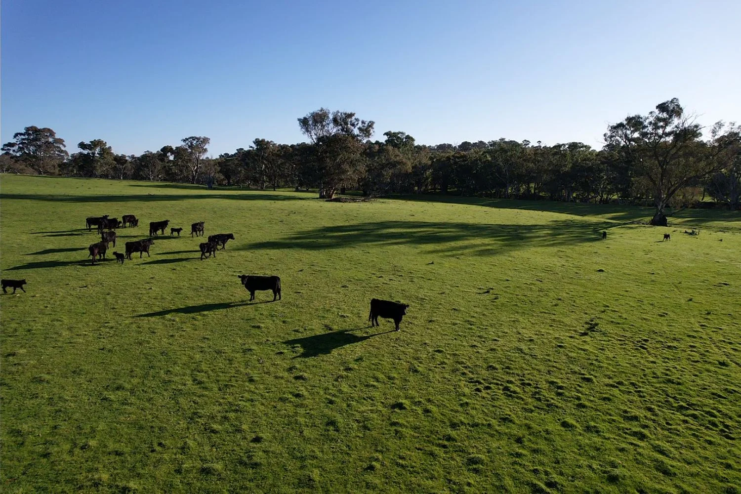 Additional image 13 of 0 Illalong Road, Bookham NSW 2582