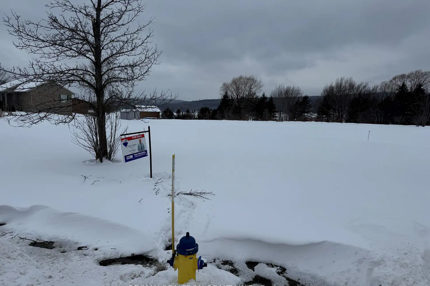 Additional image 3 of 136 Fox Street