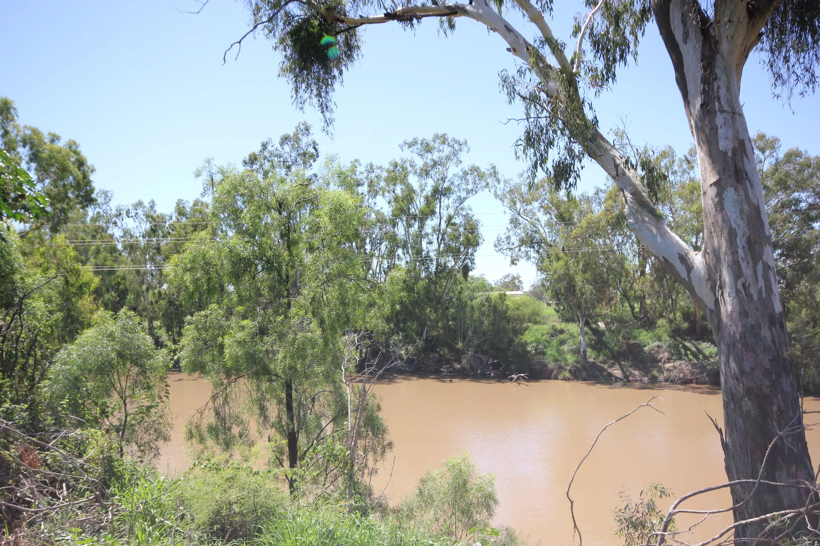 Additional image 10 of Corcoran - Sandalwood Drive, Goondiwindi QLD 4390