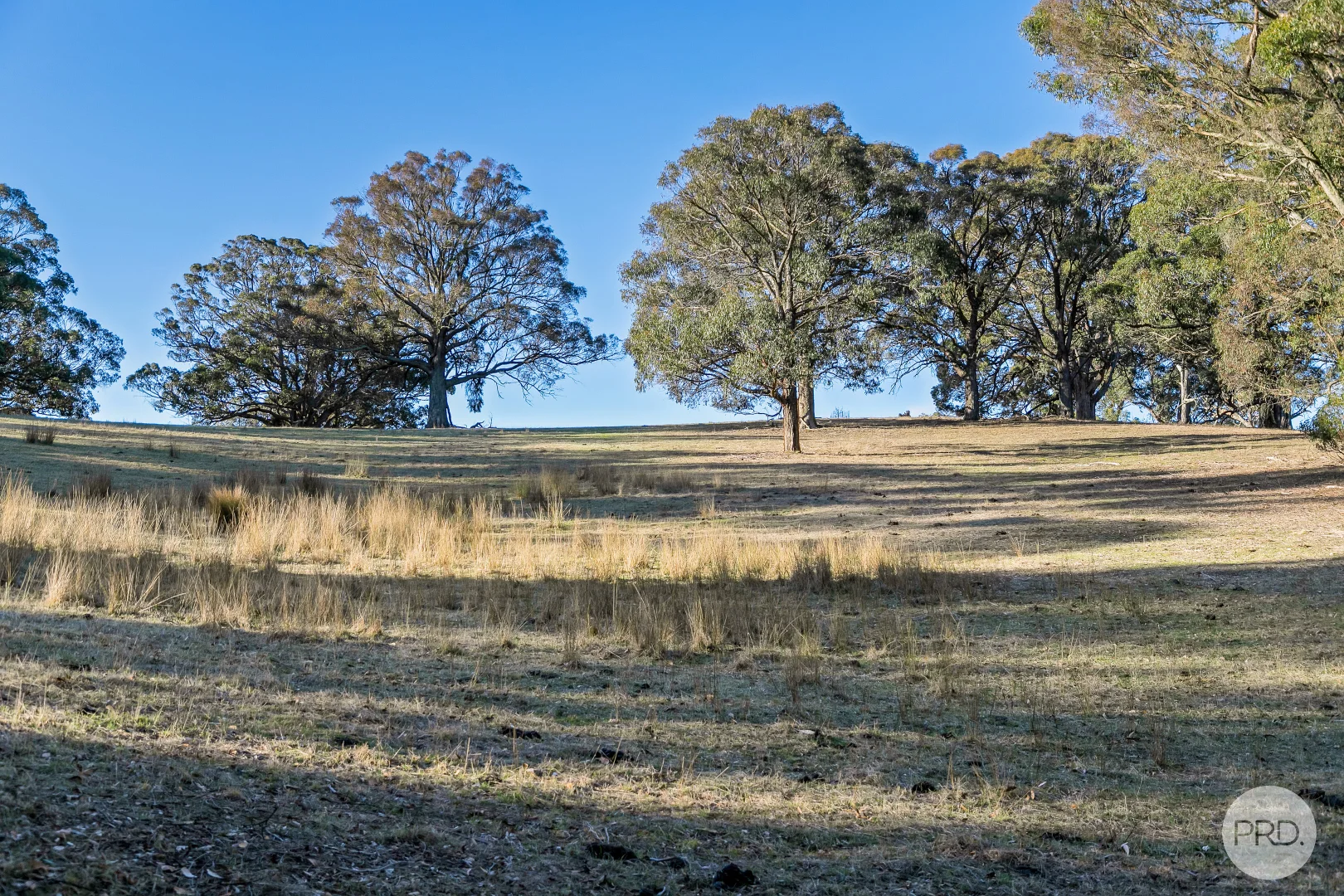 Additional image 22 of 17 Brewing Lane, Springmount VIC 3364