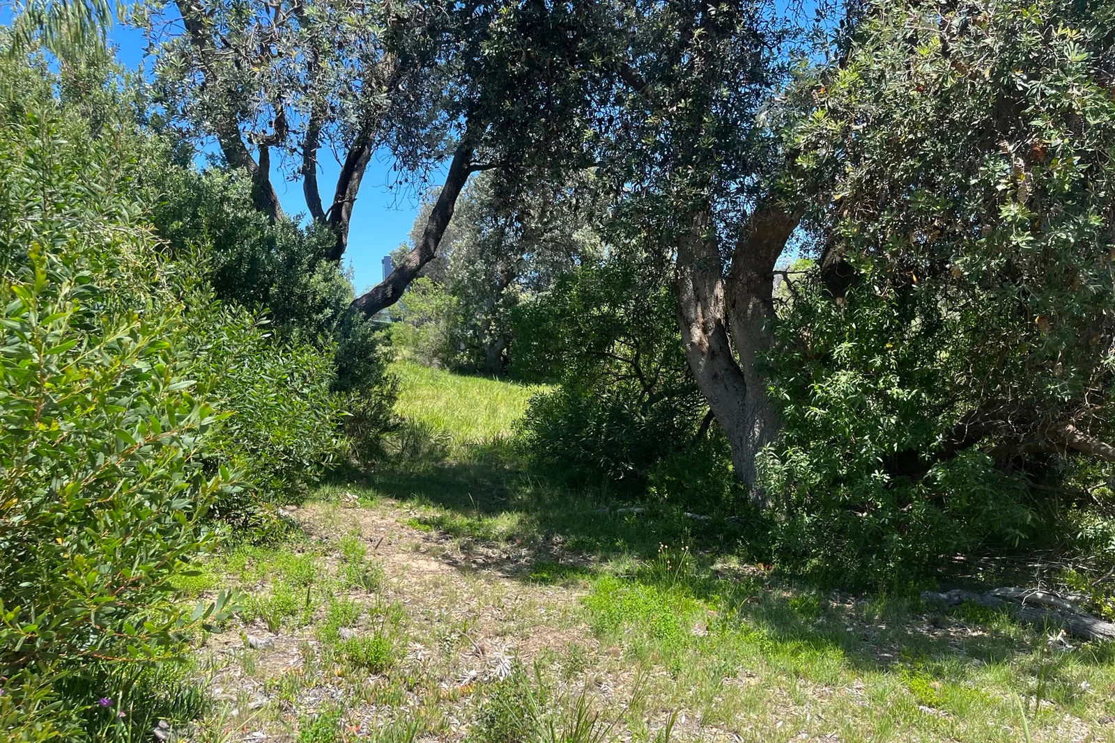 Additional image 12 of 63 Edgewater Drive, Golden Beach VIC 3851