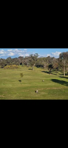 Additional image 21 of 244 Killeens Lane, Derrinal VIC 3523