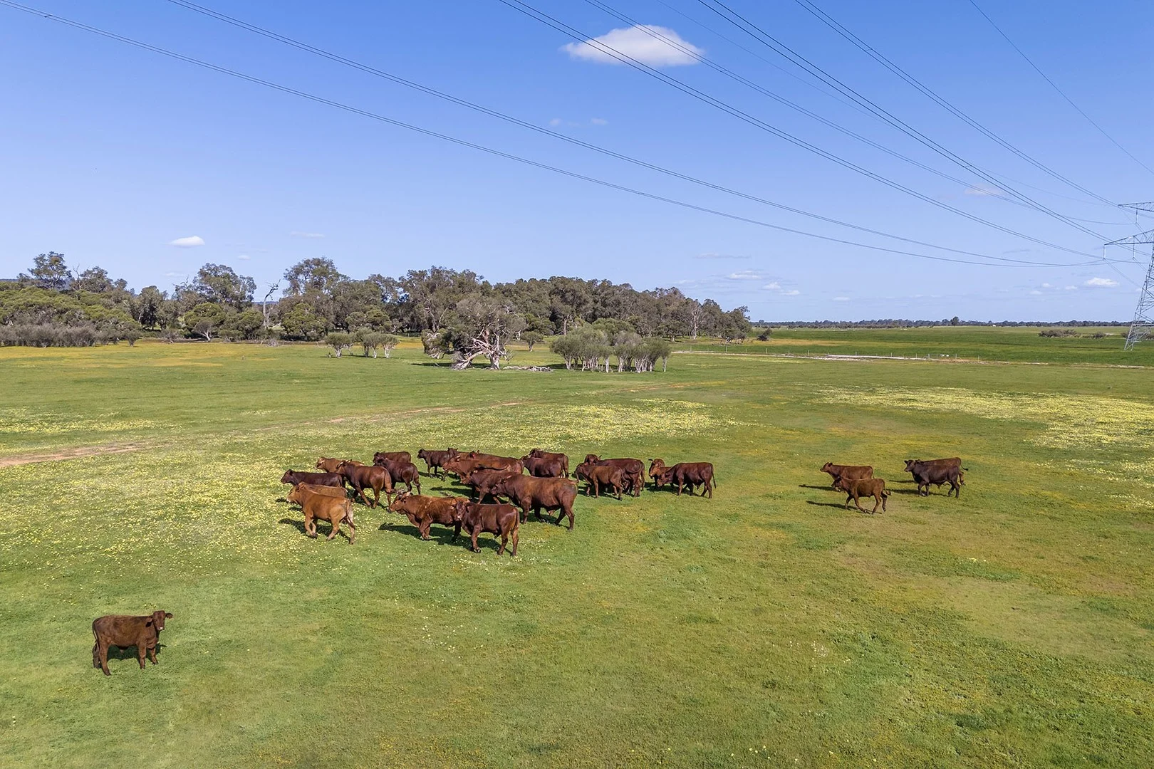 Lot 3119 Brand Highway, Gingin WA 6503