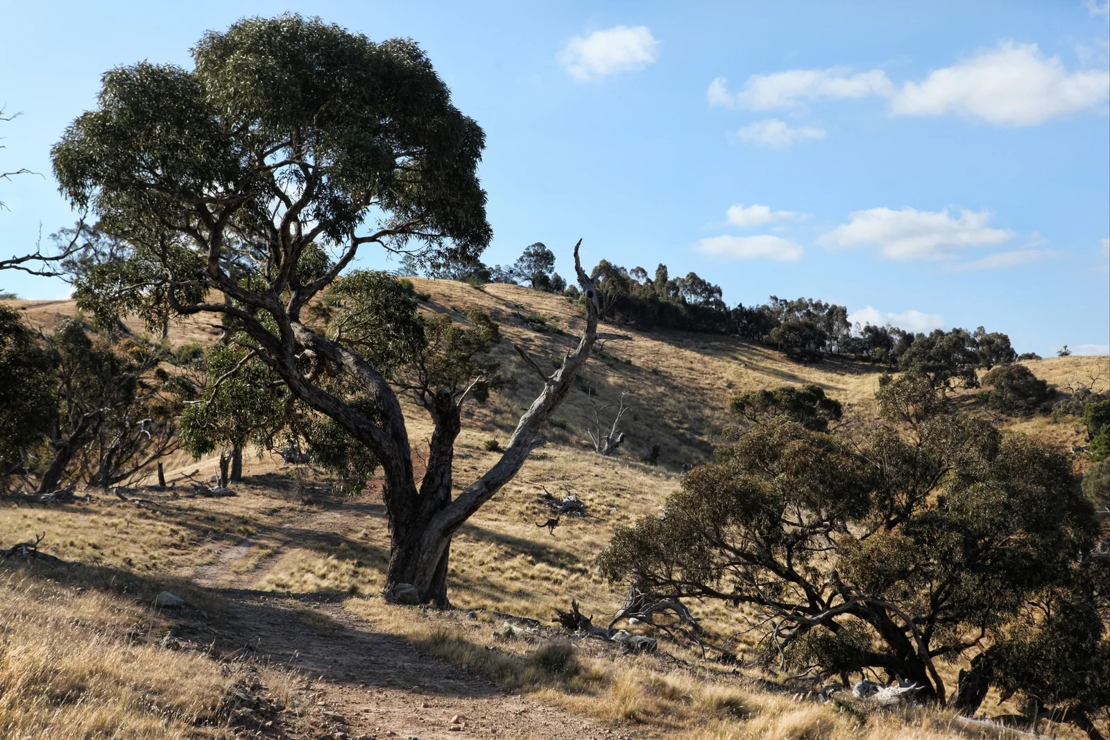 Additional image 26 of 490 Settlement Road, Sunbury VIC 3429