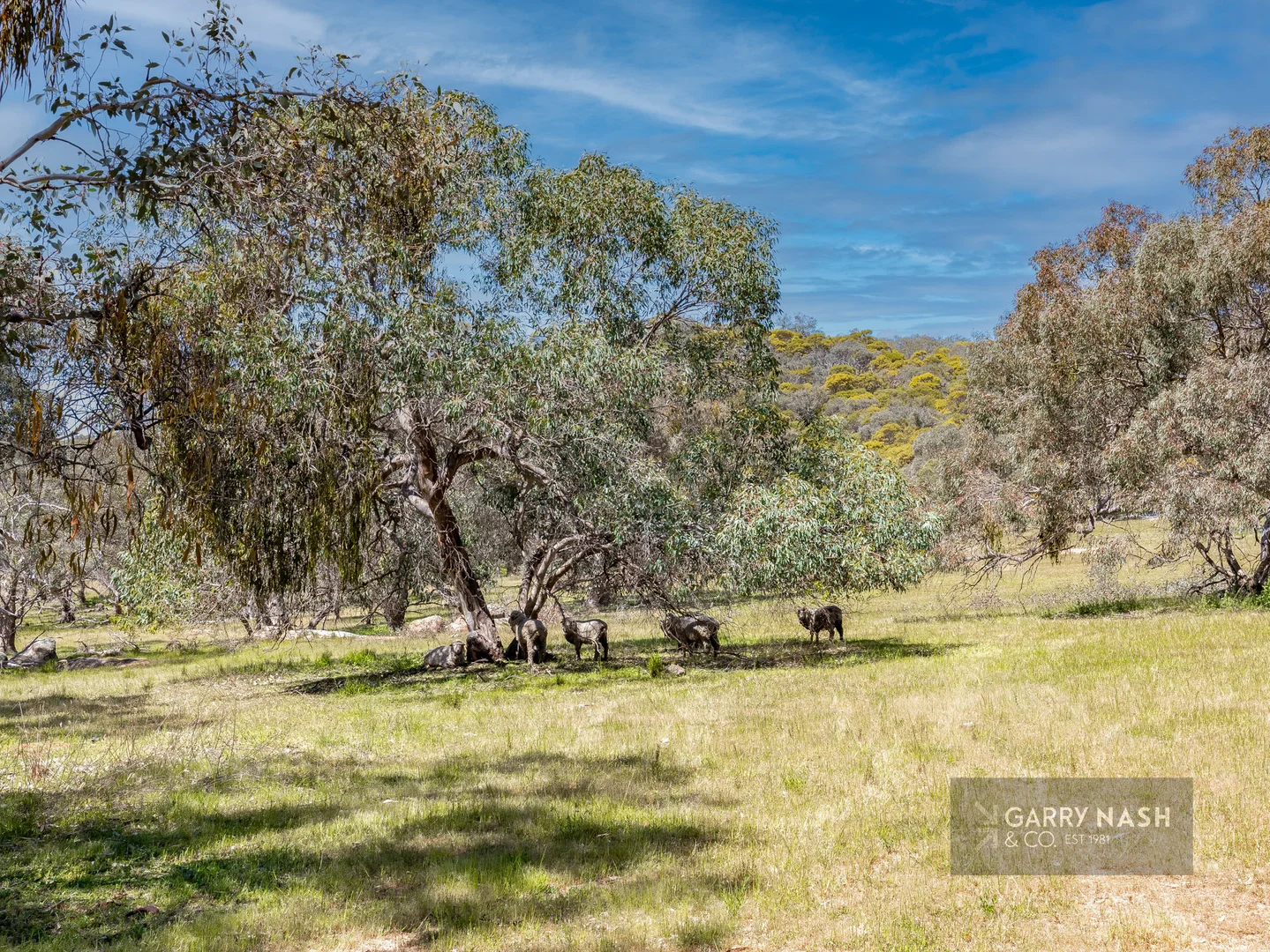 Additional image 7 of Lot 2 Sanderson Road, Springhurst VIC 3682