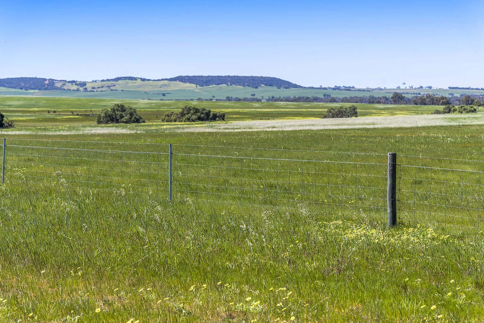 Additional image 34 of 577 Rogers Road, Mogumber WA 6506