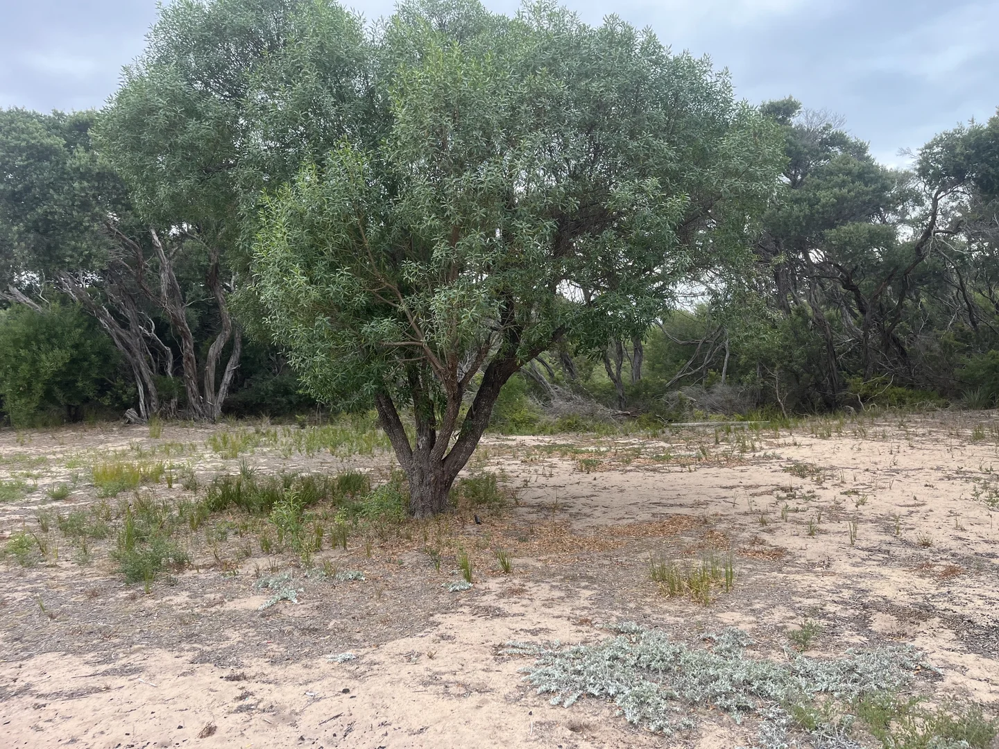 Additional image 5 of 258-260 Shoreline Drive, Golden Beach VIC 3851