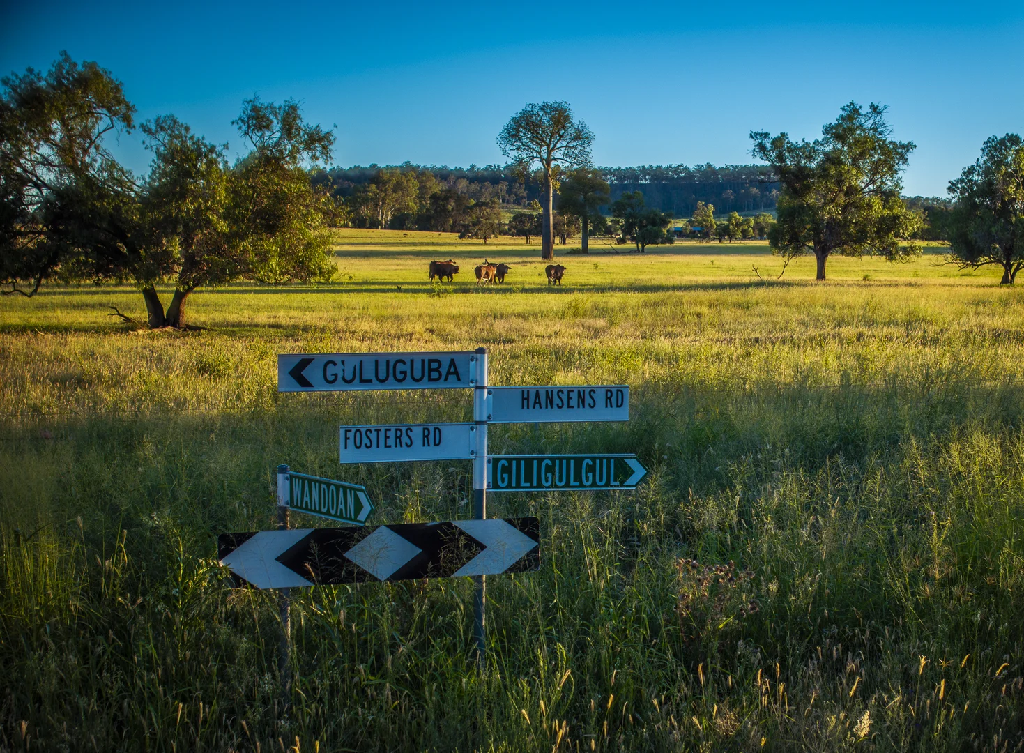 Additional image 3 of 833 Fosters Road, Guluguba QLD 4418