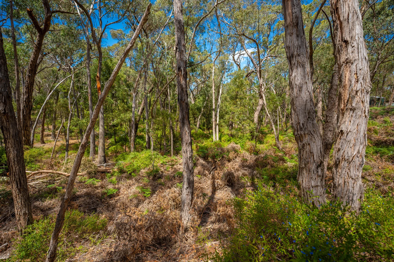 Additional image 14 of 30 Woodland Drive, Scarsdale VIC 3351